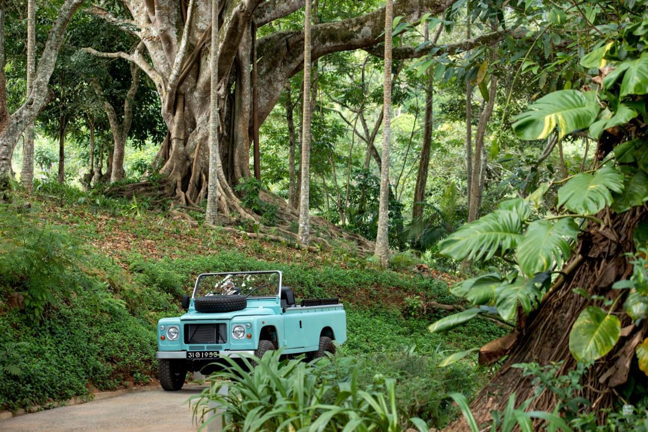 W15 Hanthana Estate Kandy Exterior foto